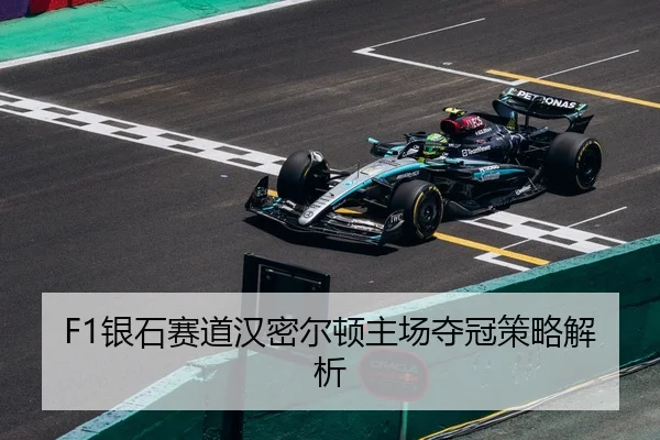 yin-shi-sai-dao-han-mi-er-dun-zhu-chang-duo-guan-ce-lve-jie-xi-2-248.jpg