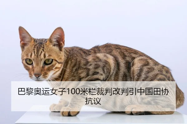 ba-li-ao-yun-nv-zi-mi-lan-cai-pan-gai-pan-yin-zhong-guo-tian-xie-kang-yi-2-106.jpg