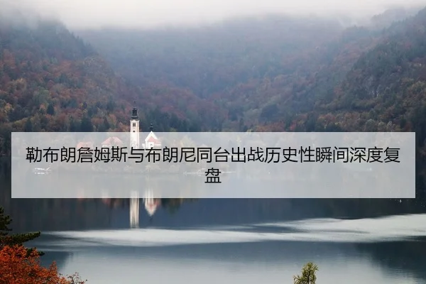 勒布朗詹姆斯与布朗尼同台出战历史性瞬间深度复盘